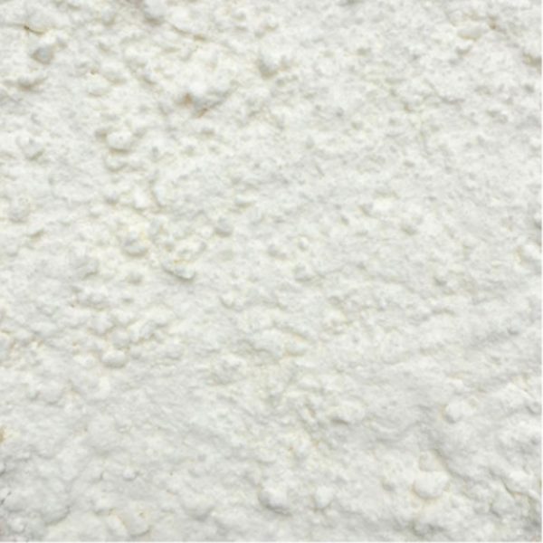 Organic Coconut Milk Powder OrganicPoint